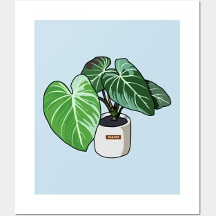 Philodendron Plants Posters and Art